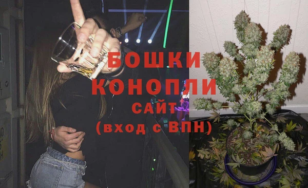 сатива Семикаракорск