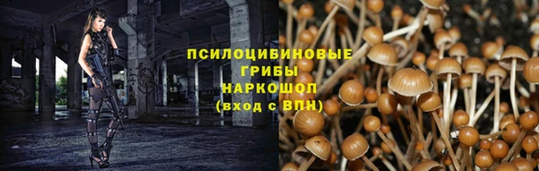 2c-b Семёнов
