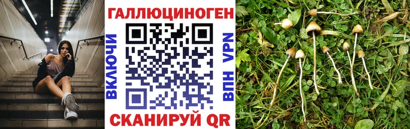 Галлюциногенные грибы ЛСД  купить  сайты  Кяхта 